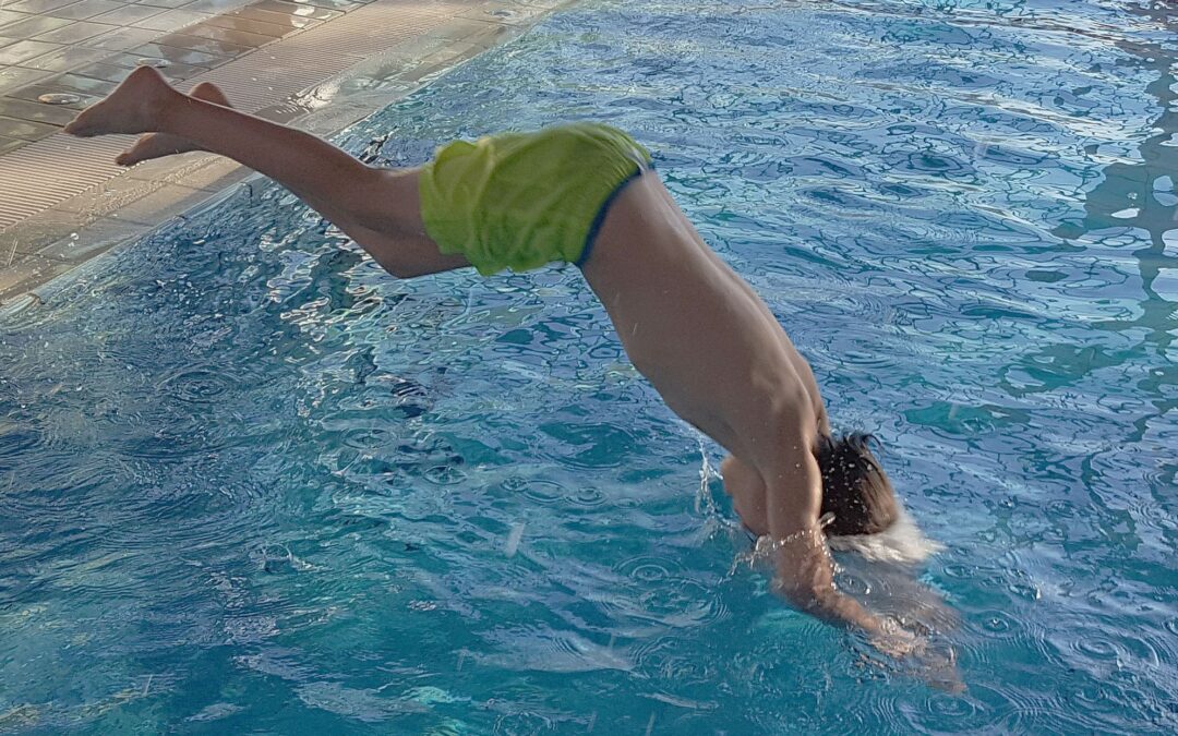 Auch Seepferdchen brauchen Training
